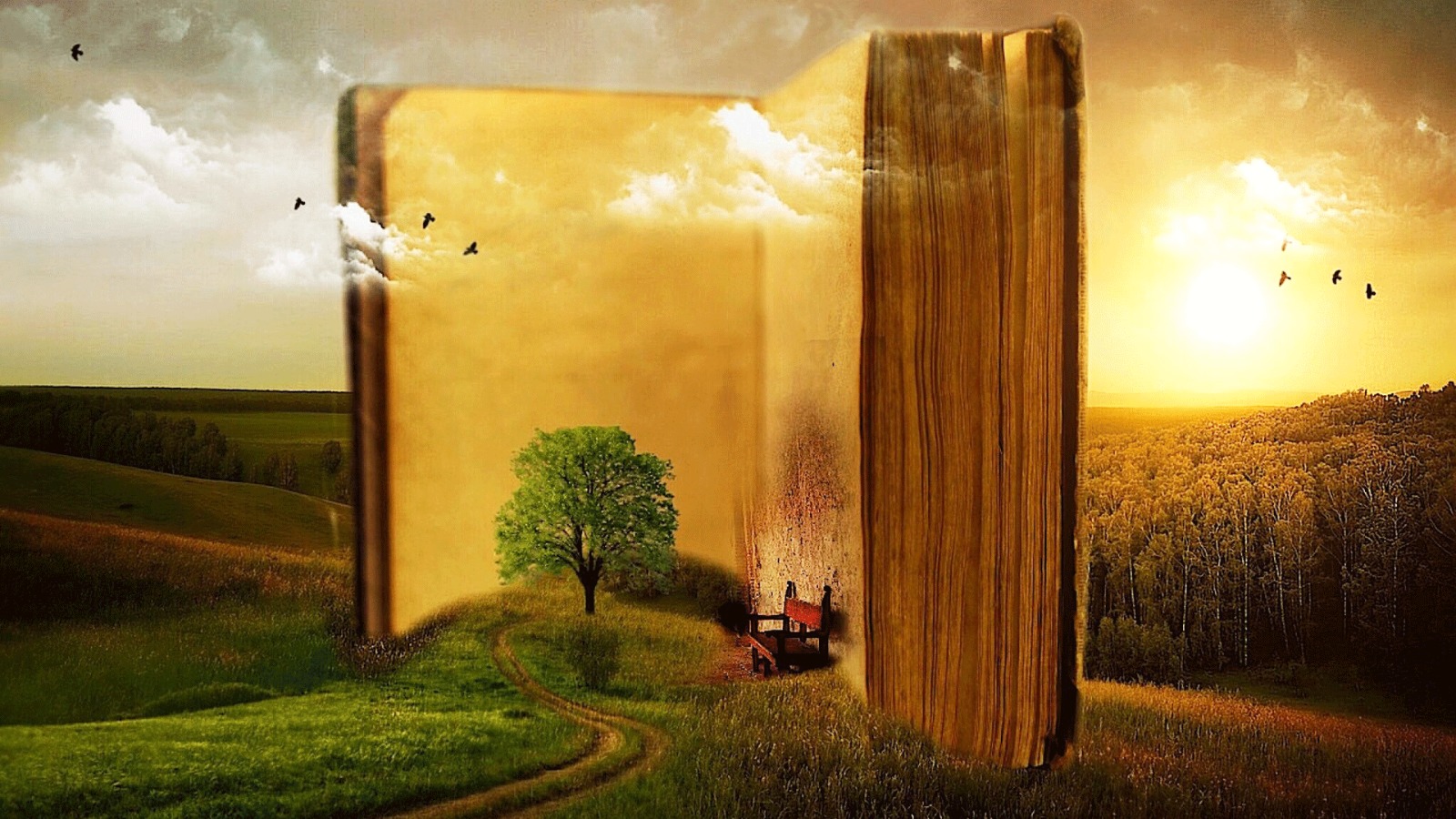 Discover the Magical World of Fire Demon and Quest of Kanju by Stephanie Colbert
